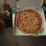 We Can Haz Pizza?