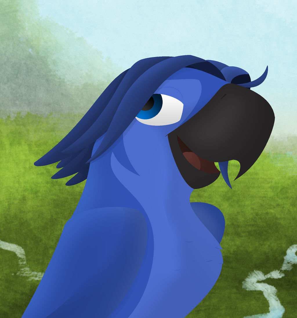 Roberto Rio Bird Rio Roberto by Katnay on DeviantArt