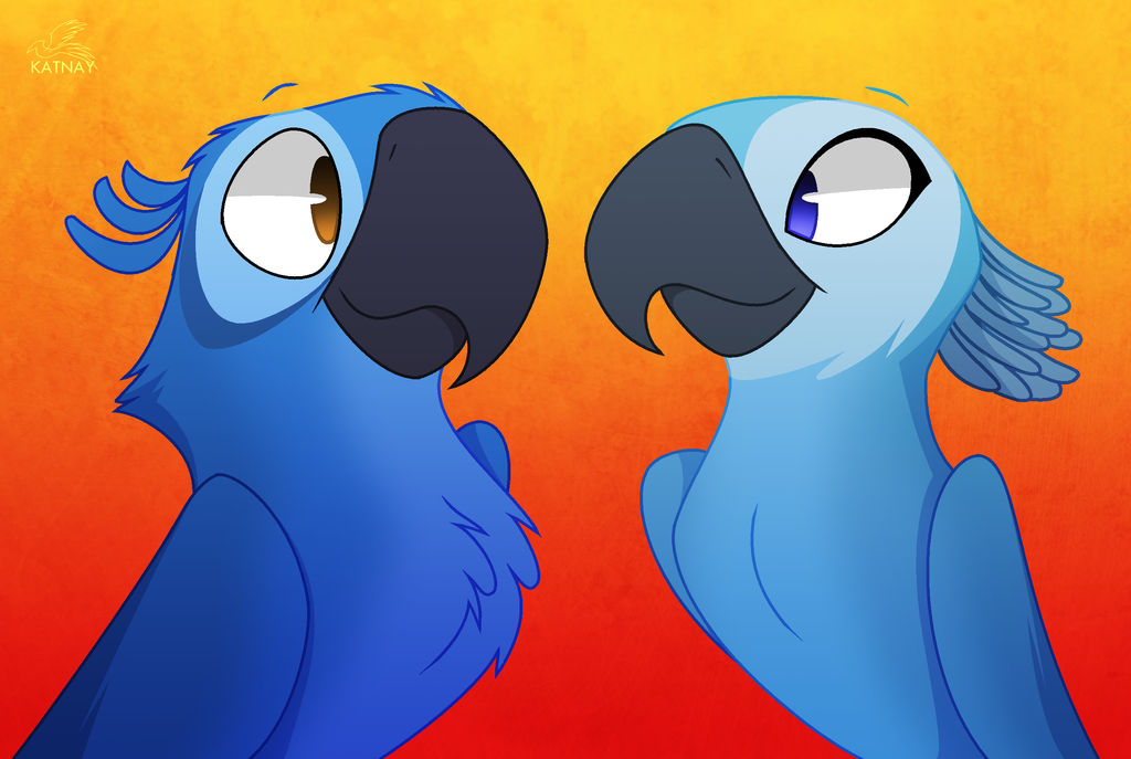 Dreamworks Rio Deviantart Rio Fanart by Katnay on DeviantArt