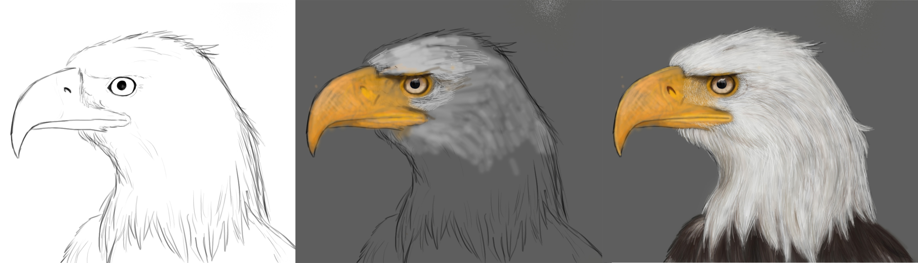 WIP - Eagle