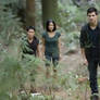 Brand New Breaking Dawn still