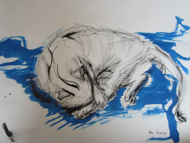 my lovely cat Hito another ink sketch