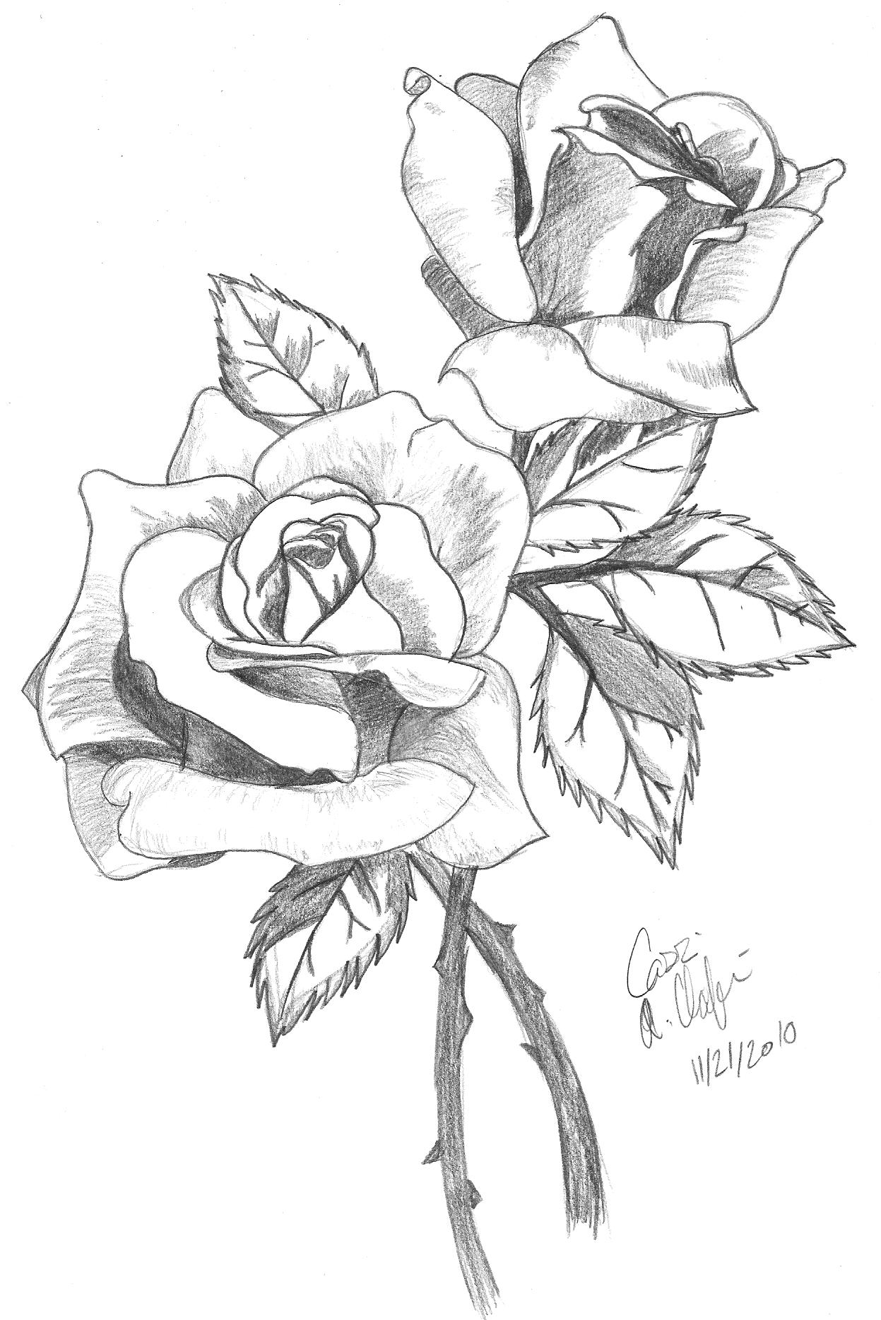 Roses-Shaded