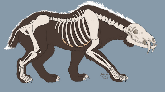 Skeleton study: Ohantra