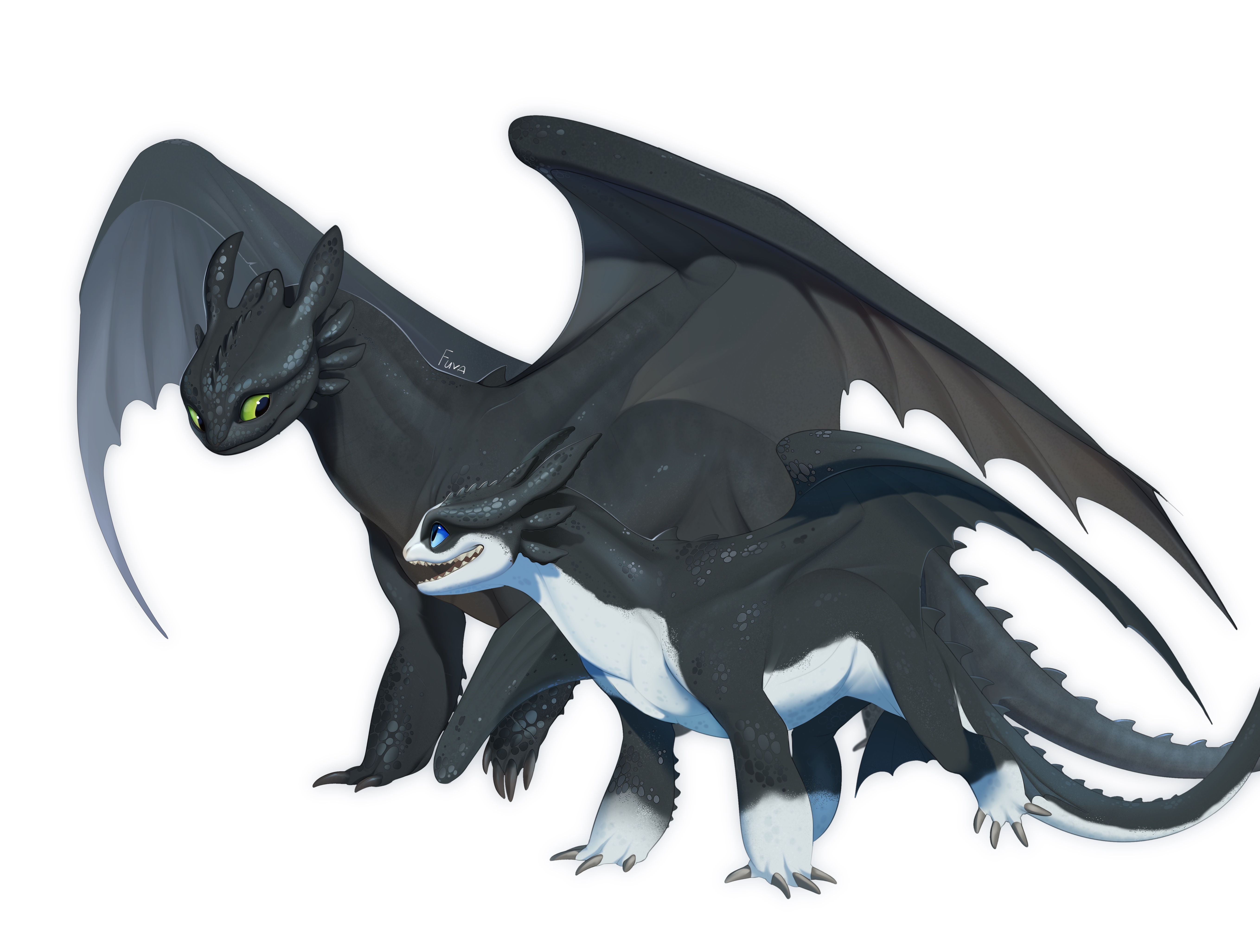Toothless and Thunder by Fuvva on DeviantArt