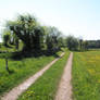 Countryside