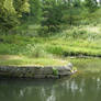 Pretty place