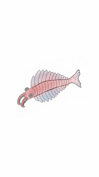 anomalocaris