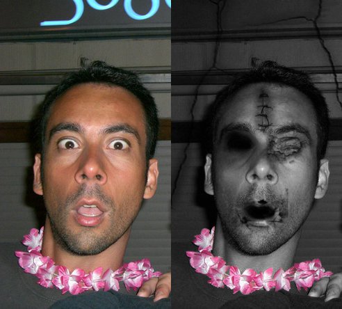 Hawaiian Zombie