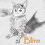 Blinx the time sweeper