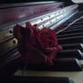 Rose on piano