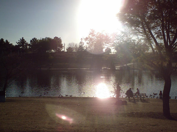 Family Feeding Ducks By a Lake