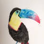 Colorful Toucan