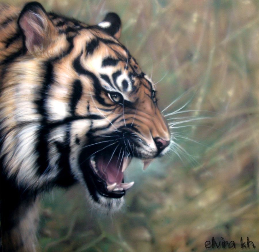 Tiger - airbrushing