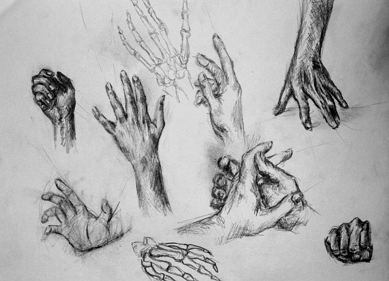 Hands - Study