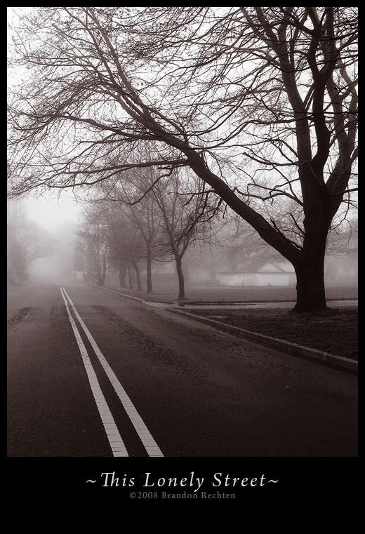 This Lonely Street