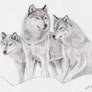 Wolves