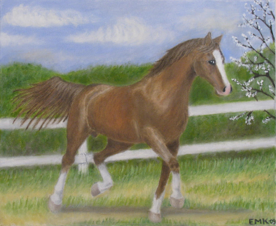 Horse - oil painting