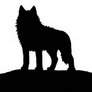 Wolf on guard - 1st animation