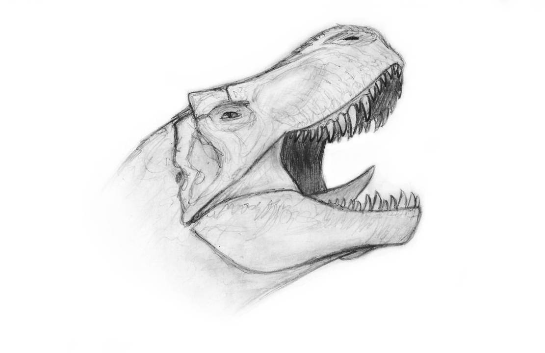 Картинки динозавров нарисовать. Динозавр рисунок карандашом. Рисунки динозавров для срисовки. Динозавры карандашом для срисовки. Динозавр эскиз.