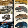 Different Allosaurus Species
