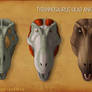 Tyrannosaurus Rex Head Anatomy