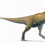 Carnotaurus for Wikipedia