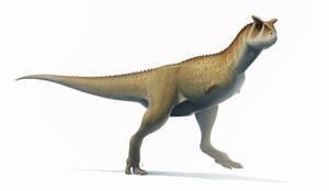 Carnotaurus for Wikipedia