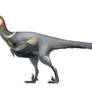 Austroraptor cabazai for Wikipedia