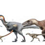 Dromaeosauridae size chart for Wikipedia