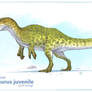 Spinosaurus Juvie