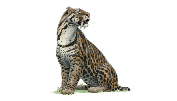 Explore The Best Smilodon Art Deviantart Explore The Best Smilodon Art Deviantart