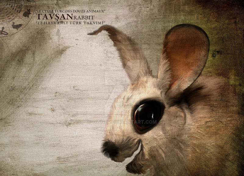 owger deviantart com