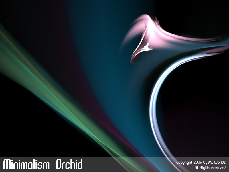 Minimalism Orchid