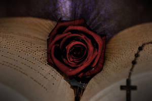 Entry for 'Mini Editing Contest'