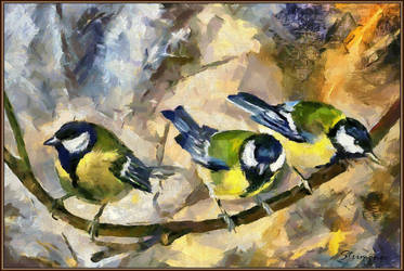 Yellow Titmouse Birds...