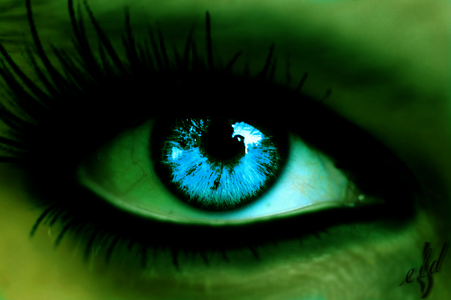 Elphaba's Eye