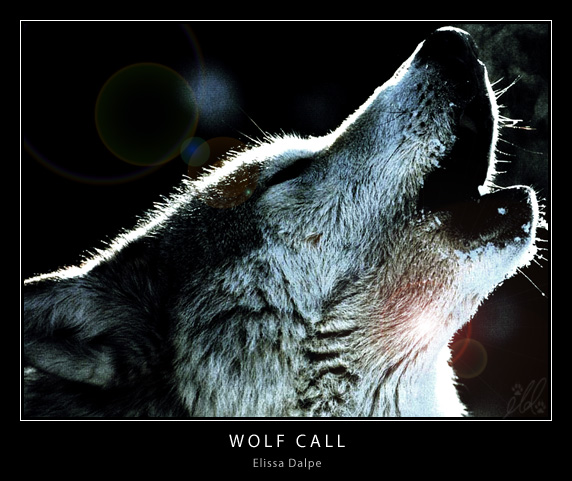 Wolf Call