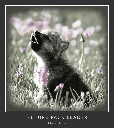Future Pack Leader