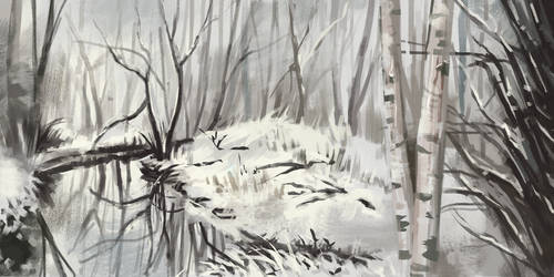 Environment study - Snowy forest