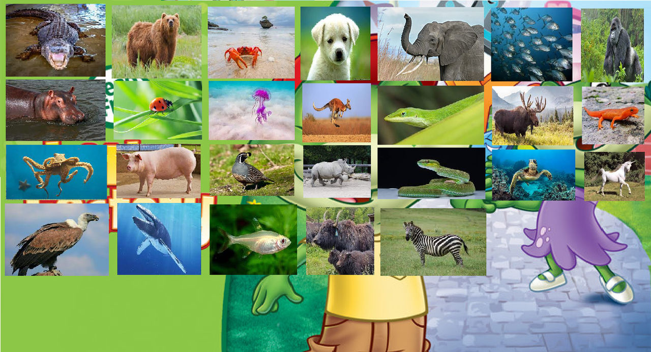 Graphics Factory Animals Letter Factory Animal Alphabet by monkyjack on DeviantArt