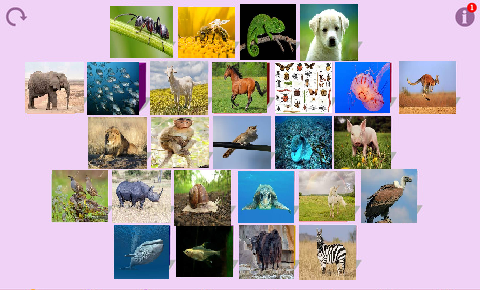 Starfall Animal Alphabet by monkyjack on DeviantArt