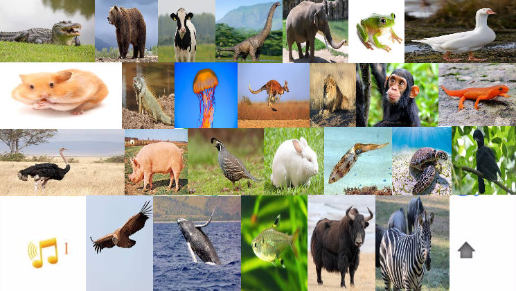 Interactive Animal Alphabet by monkyjack on DeviantArt