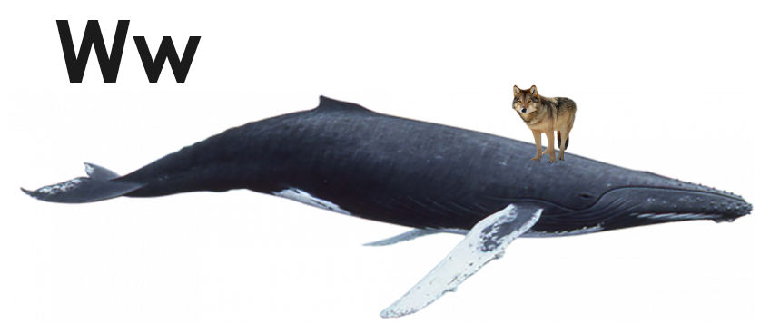 github wolfwhale Images High Quality Grahic Wolf and Whale by monkyjack on DeviantArt