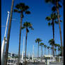 Long Beach Pier