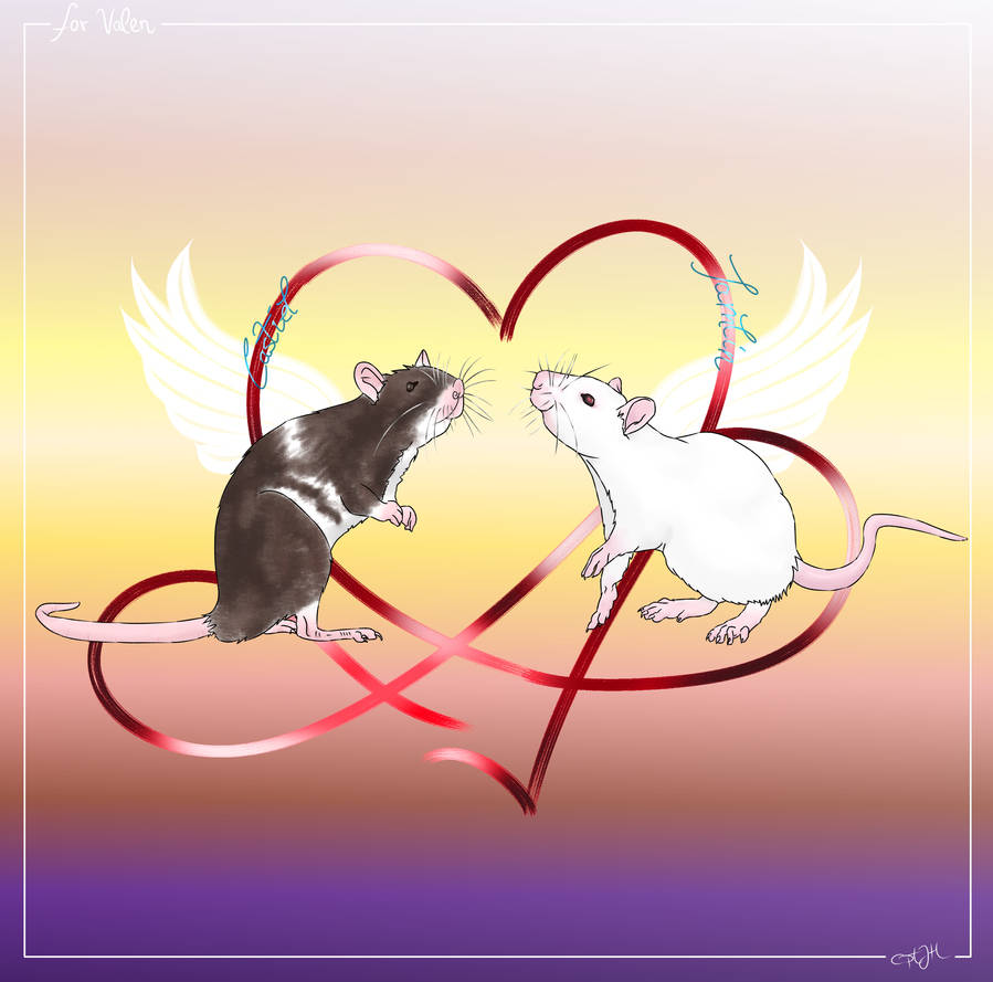 Rainbow Rats by CptJHArts on DeviantArt