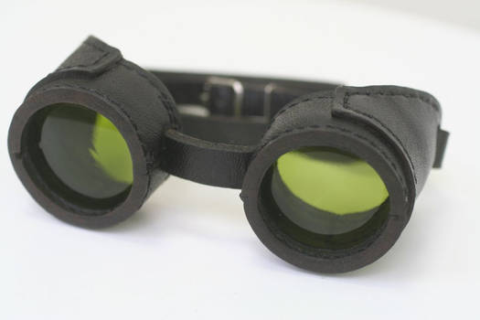 Goggles 2