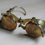 Steampunk spectacles 1