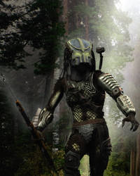 Predator's Helmet