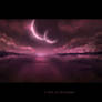 A Gift of Moonlight